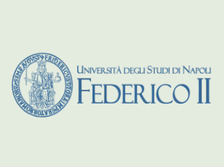 logo11