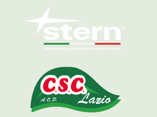 logo12